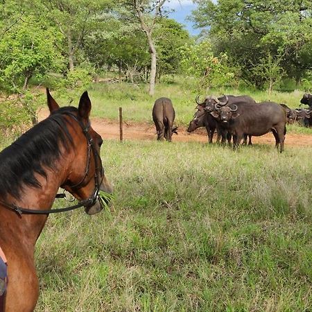 호에드스프뤼트 Wild Ride Safaris And Bush Camp 빌라 외부 사진